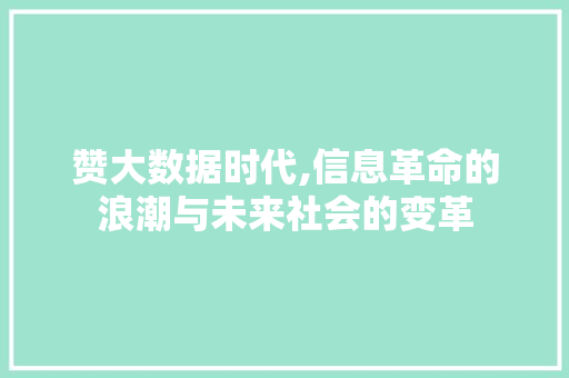 赞大数据时代,信息革命的浪潮与未来社会的变革