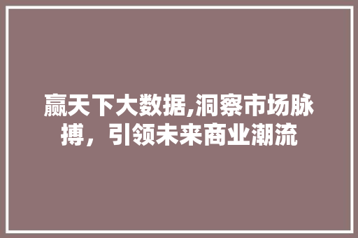 赢天下大数据,洞察市场脉搏，引领未来商业潮流