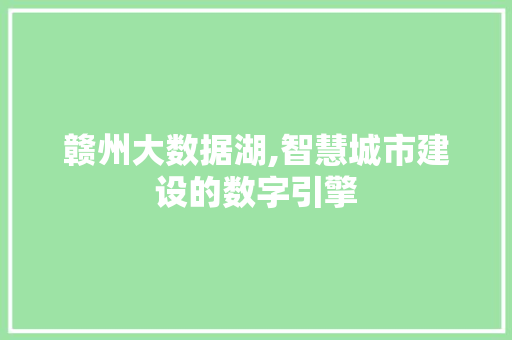 赣州大数据湖,智慧城市建设的数字引擎