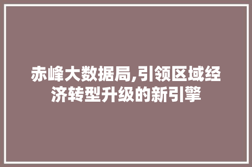 赤峰大数据局,引领区域经济转型升级的新引擎