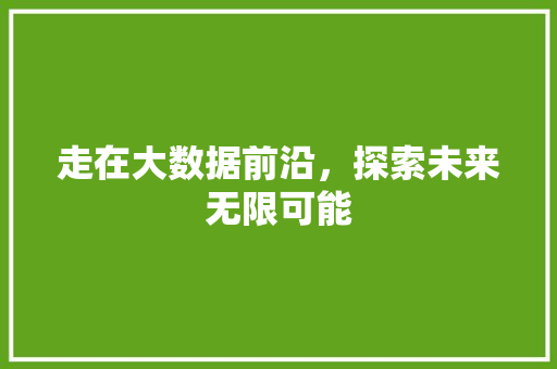 走在大数据前沿，探索未来无限可能