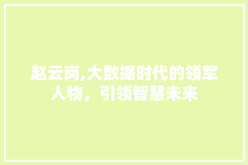 赵云岗,大数据时代的领军人物，引领智慧未来