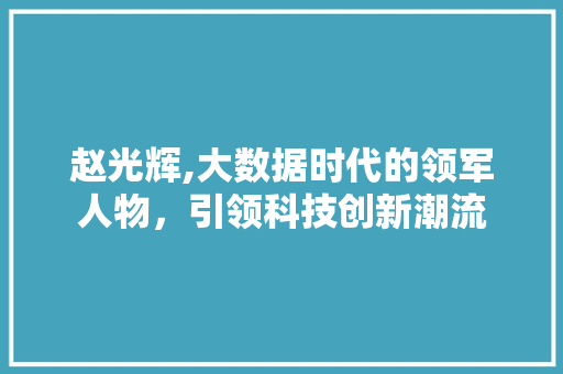 赵光辉,大数据时代的领军人物，引领科技创新潮流