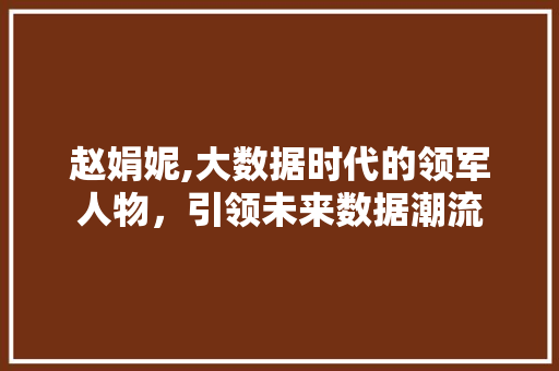 赵娟妮,大数据时代的领军人物，引领未来数据潮流
