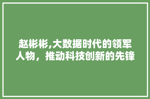 赵彬彬,大数据时代的领军人物，推动科技创新的先锋