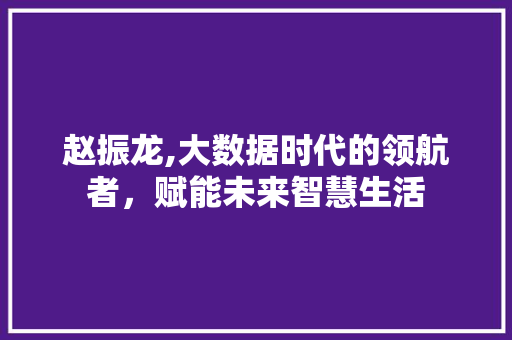 赵振龙,大数据时代的领航者，赋能未来智慧生活