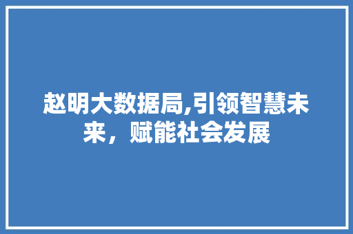 赵明大数据局,引领智慧未来，赋能社会发展 神马SEO