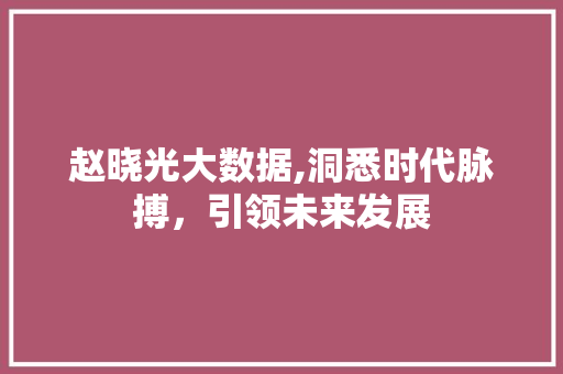 赵晓光大数据,洞悉时代脉搏，引领未来发展