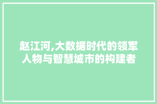 赵江河,大数据时代的领军人物与智慧城市的构建者