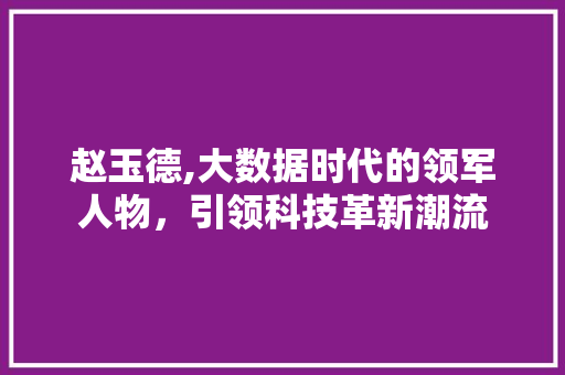 赵玉德,大数据时代的领军人物，引领科技革新潮流 神马SEO