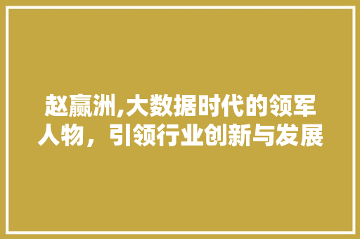 赵赢洲,大数据时代的领军人物，引领行业创新与发展