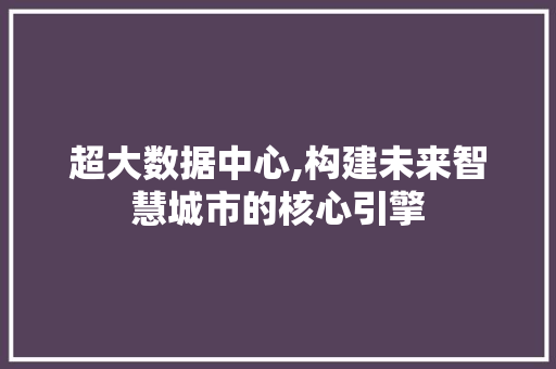 超大数据中心,构建未来智慧城市的核心引擎