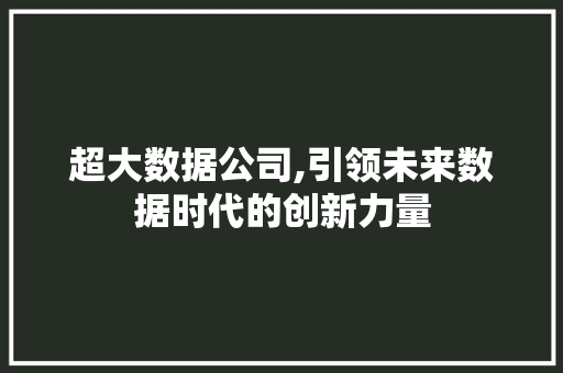 超大数据公司,引领未来数据时代的创新力量 神马SEO