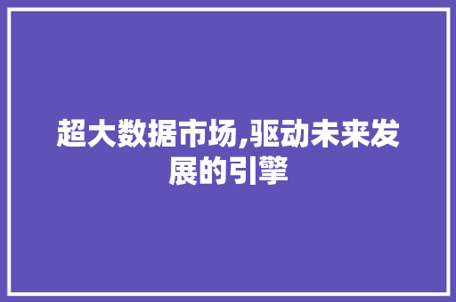 超大数据市场,驱动未来发展的引擎 神马SEO