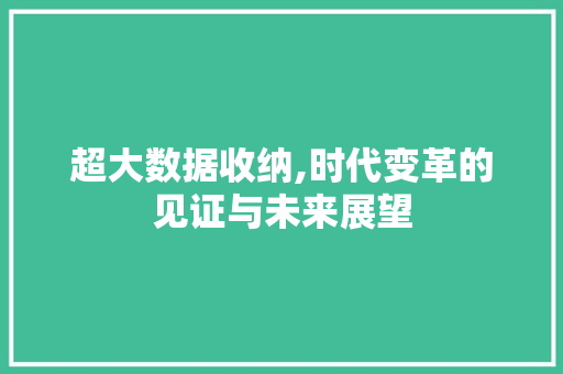 超大数据收纳,时代变革的见证与未来展望