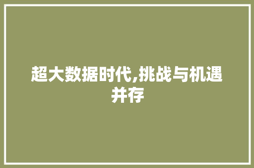超大数据时代,挑战与机遇并存 神马SEO