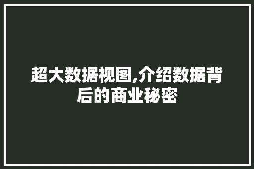 超大数据视图,介绍数据背后的商业秘密