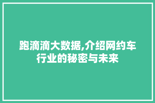 跑滴滴大数据,介绍网约车行业的秘密与未来 GoogleSEO