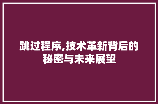 跳过程序,技术革新背后的秘密与未来展望
