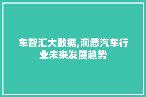 车智汇大数据,洞悉汽车行业未来发展趋势 神马SEO