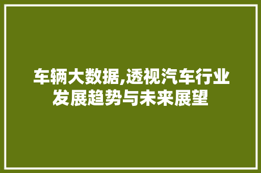 车辆大数据,透视汽车行业发展趋势与未来展望 百度SEO