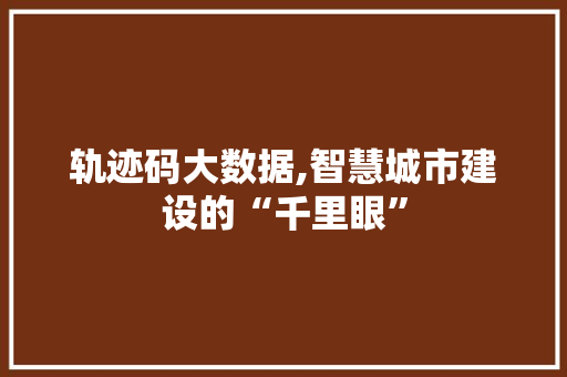 轨迹码大数据,智慧城市建设的“千里眼”