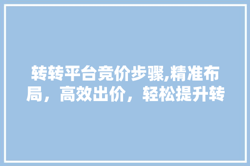 转转平台竞价步骤,精准布局，高效出价，轻松提升转化率