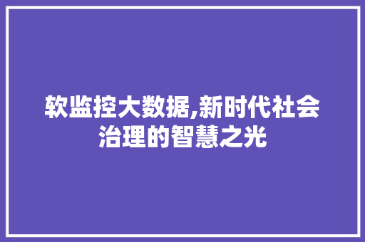 软监控大数据,新时代社会治理的智慧之光 神马SEO