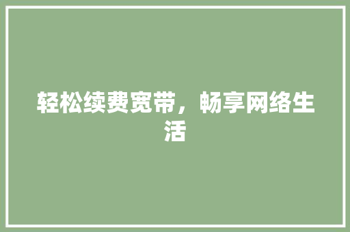 轻松续费宽带，畅享网络生活