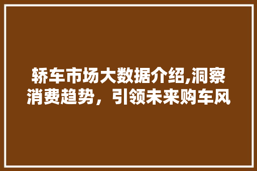 轿车市场大数据介绍,洞察消费趋势，引领未来购车风向标 必应SEO