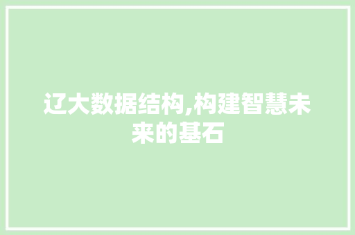 辽大数据结构,构建智慧未来的基石