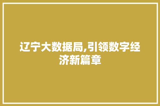 辽宁大数据局,引领数字经济新篇章