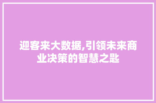迎客来大数据,引领未来商业决策的智慧之匙