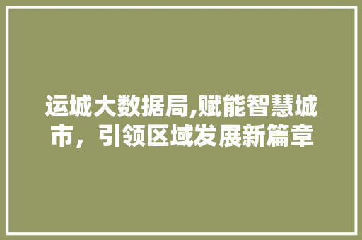 运城大数据局,赋能智慧城市，引领区域发展新篇章