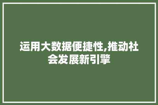 运用大数据便捷性,推动社会发展新引擎
