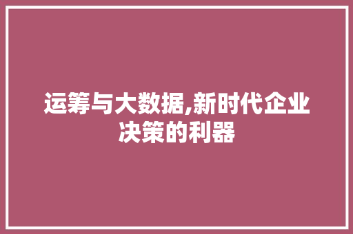 运筹与大数据,新时代企业决策的利器