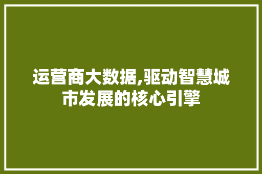 运营商大数据,驱动智慧城市发展的核心引擎 搜狗SEO