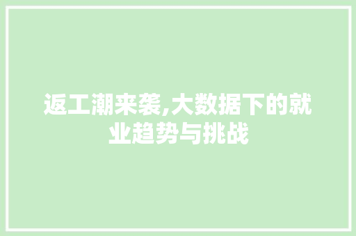返工潮来袭,大数据下的就业趋势与挑战