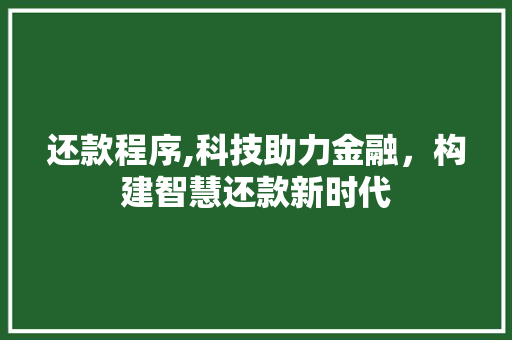 还款程序,科技助力金融，构建智慧还款新时代