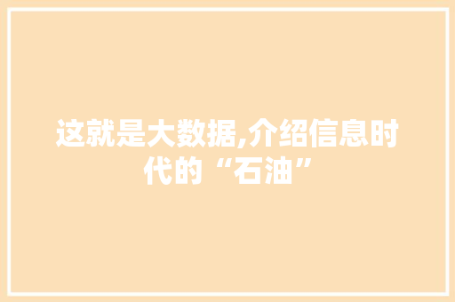 这就是大数据,介绍信息时代的“石油” 必应SEO