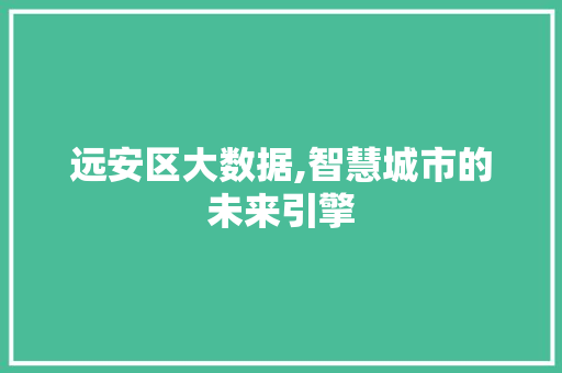 远安区大数据,智慧城市的未来引擎 必应SEO