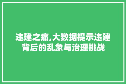 违建之痛,大数据提示违建背后的乱象与治理挑战