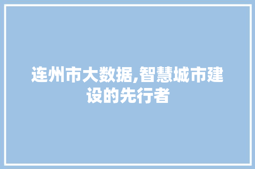 连州市大数据,智慧城市建设的先行者