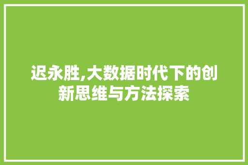 迟永胜,大数据时代下的创新思维与方法探索 必应SEO