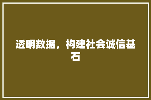 透明数据，构建社会诚信基石