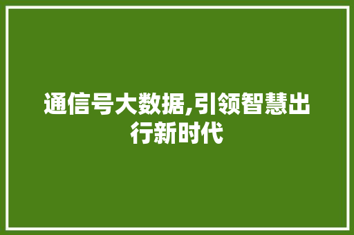 通信号大数据,引领智慧出行新时代