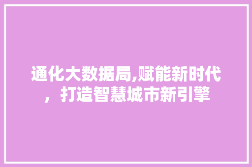 通化大数据局,赋能新时代，打造智慧城市新引擎