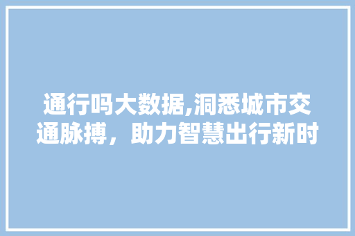 通行吗大数据,洞悉城市交通脉搏，助力智慧出行新时代 必应SEO