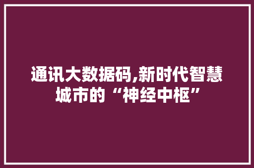 通讯大数据码,新时代智慧城市的“神经中枢”