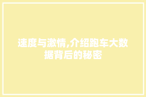 速度与激情,介绍跑车大数据背后的秘密 必应SEO